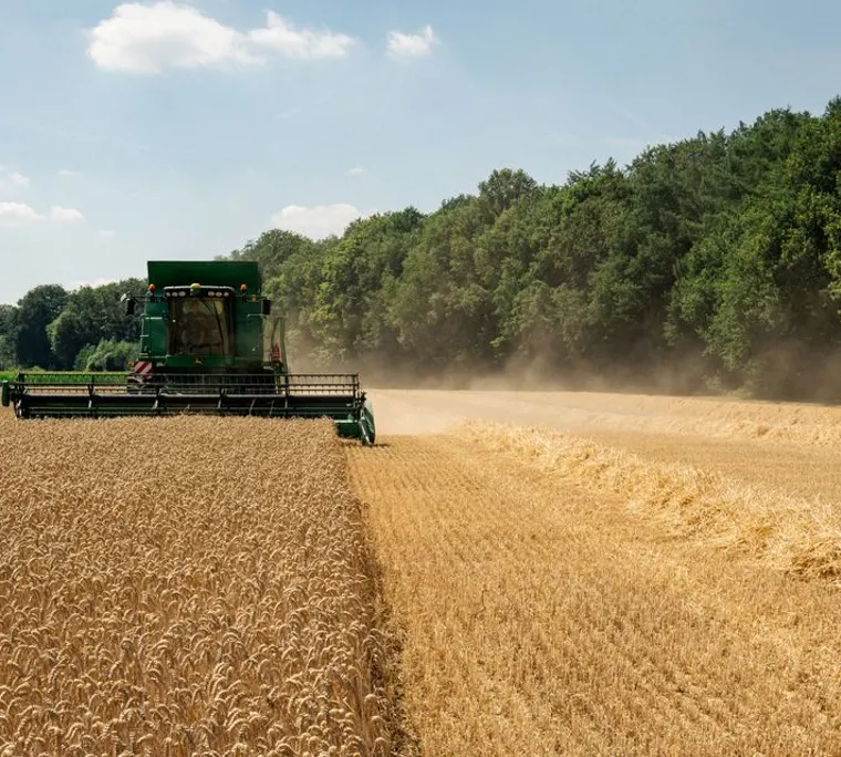 Colheitadeira em campo agrícola